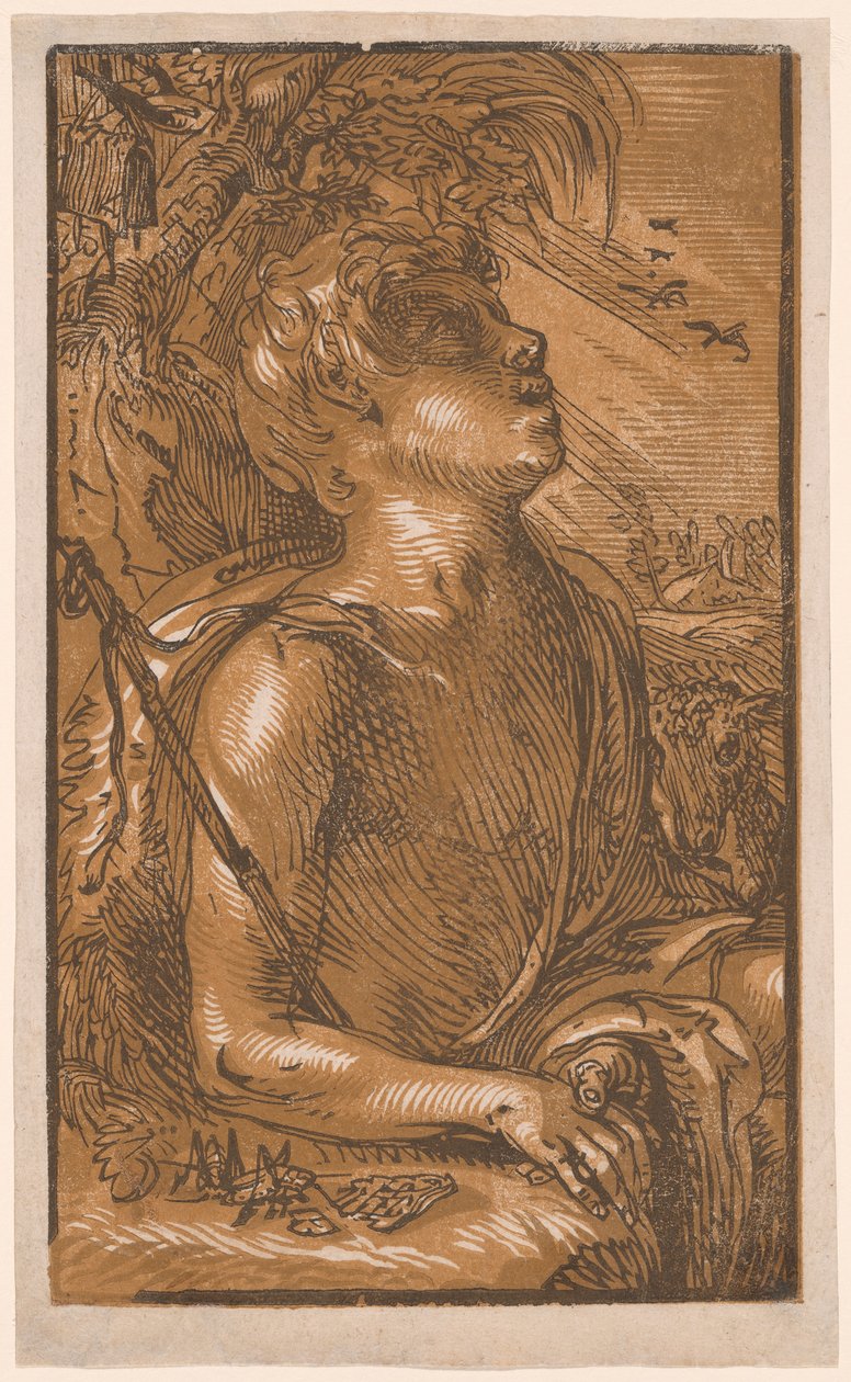 San Juan Bautista de Hendrick Goltzius