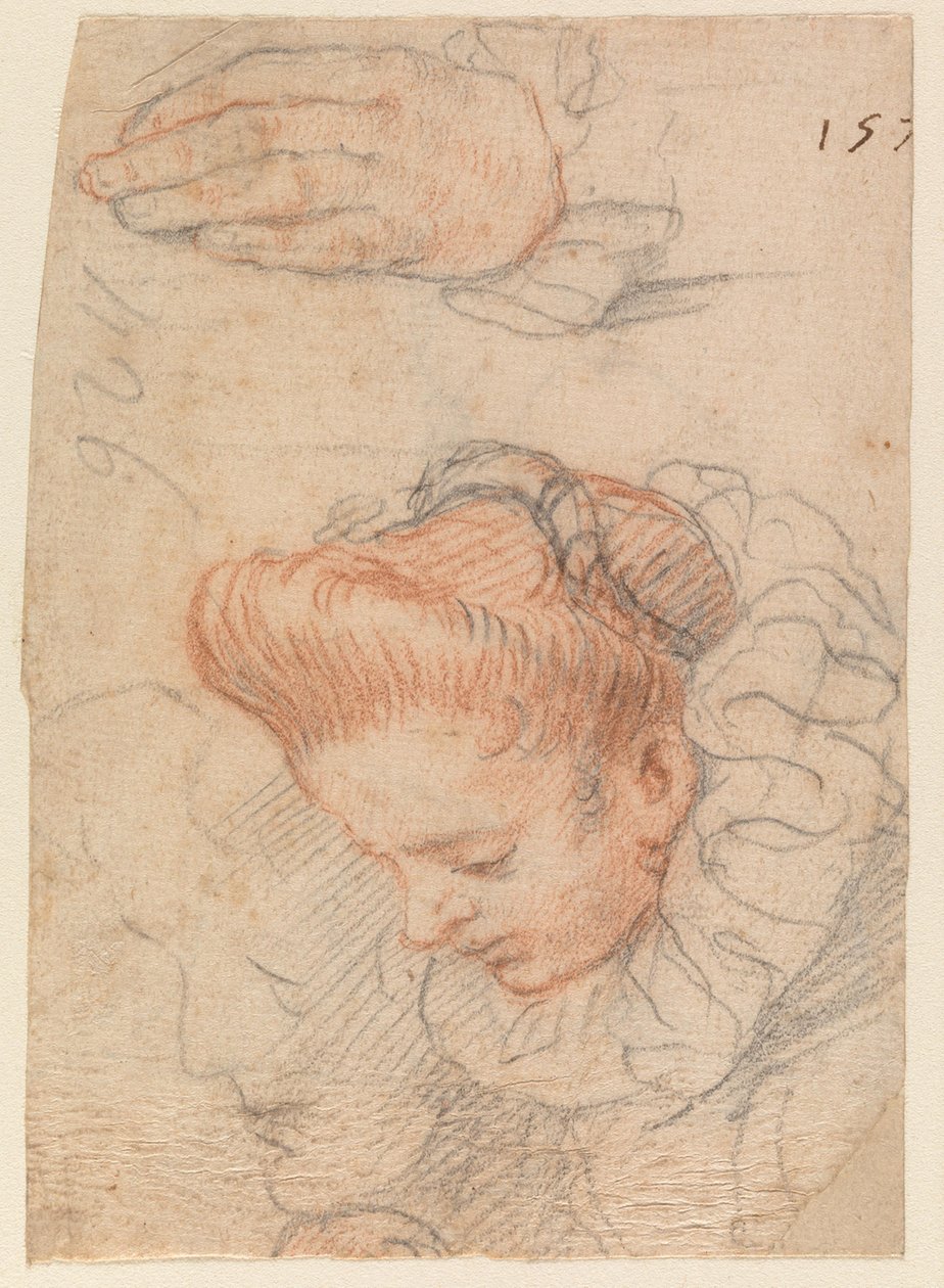 Hoja de bocetos con la cabeza y la mano de una mujer de Hendrick Goltzius
