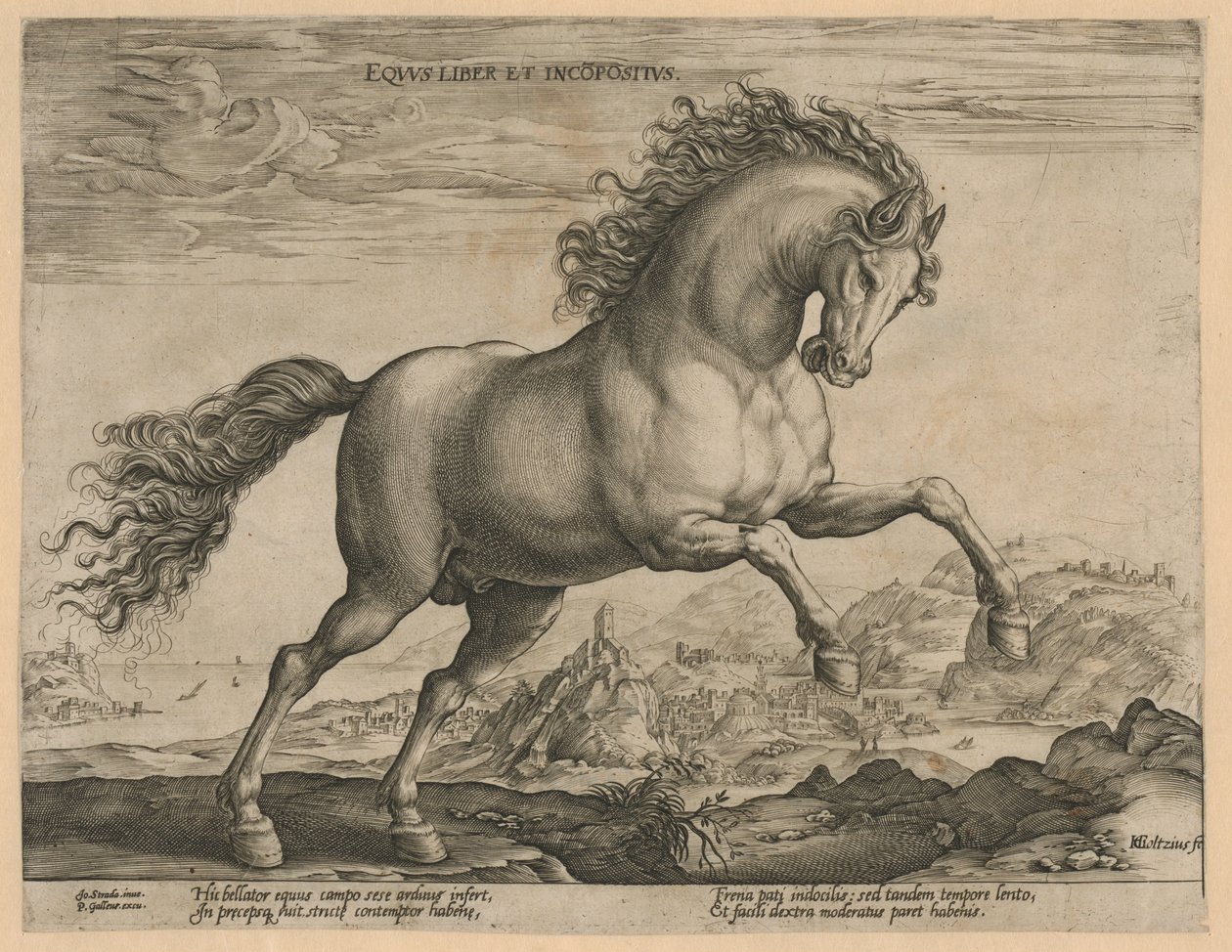 caballo salvaje Eqvvs liber et incompǒsitvs (título sobre el objeto) Razas de caballos de las Caballerizas Reales de Don Juan de Austria (título de la serie) de Hendrick Goltzius