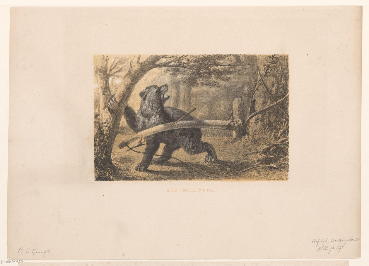 Oso en una trampa
Un arco de juego (título en el objeto) de Hendrik Adriaan Christiaan Dekker