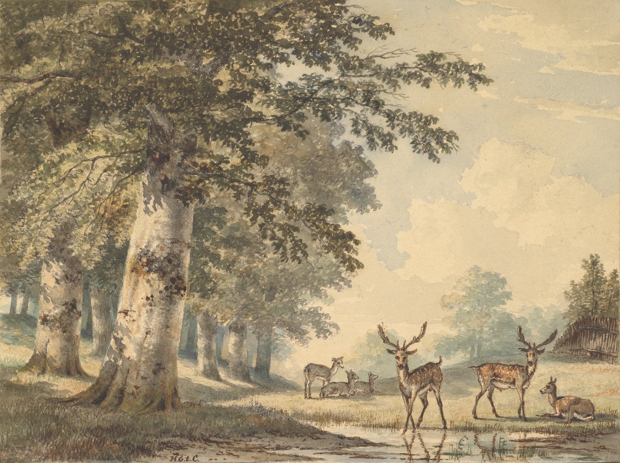 Ciervos bajo Árboles de Haya en Invierno, 1853 de Hendrik Gerrit ten Cate