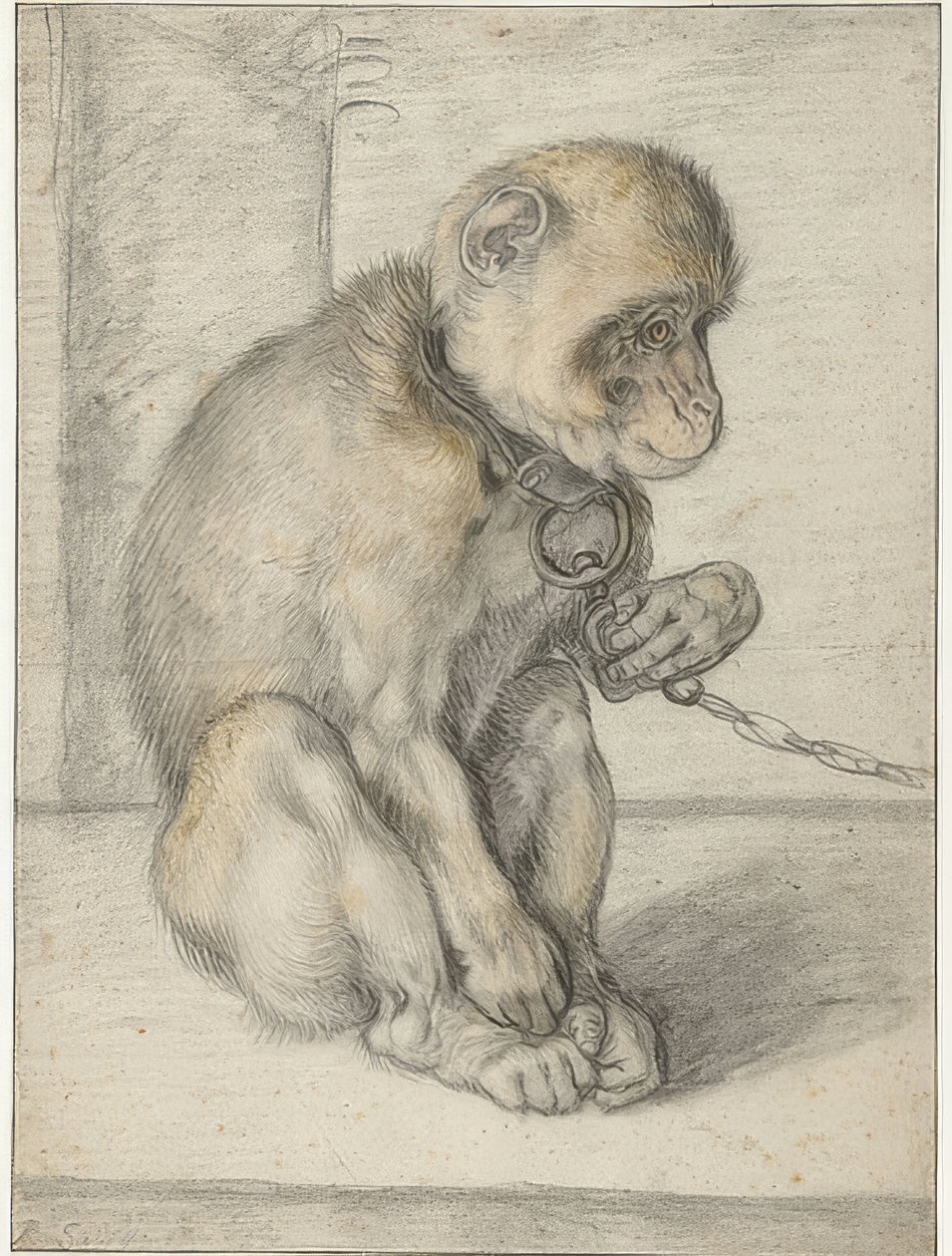 Un mono sentado con una cadena de Hendrik Goltzius