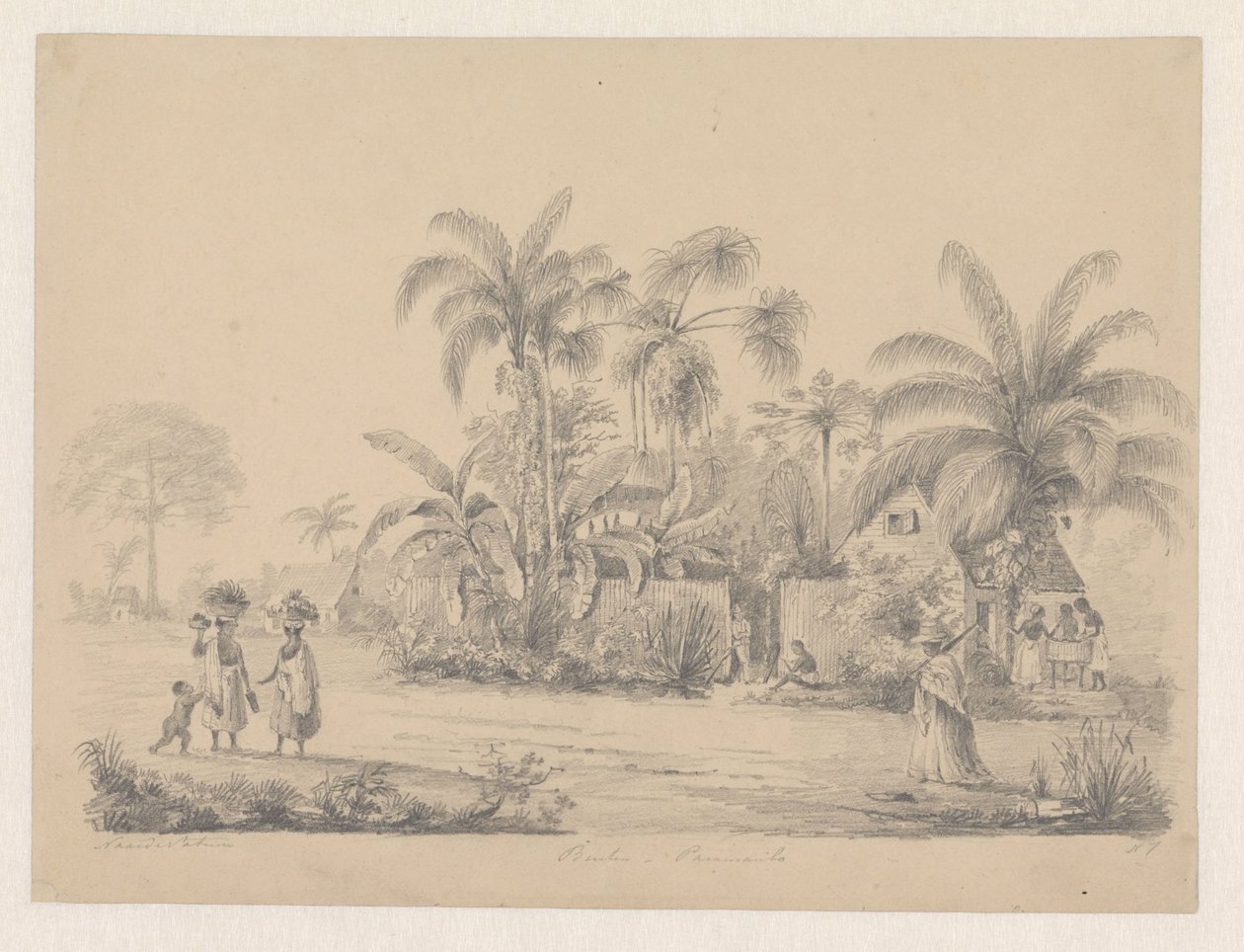 Vista de la calle a las afueras de Paramaribo de Hendrik Huygens