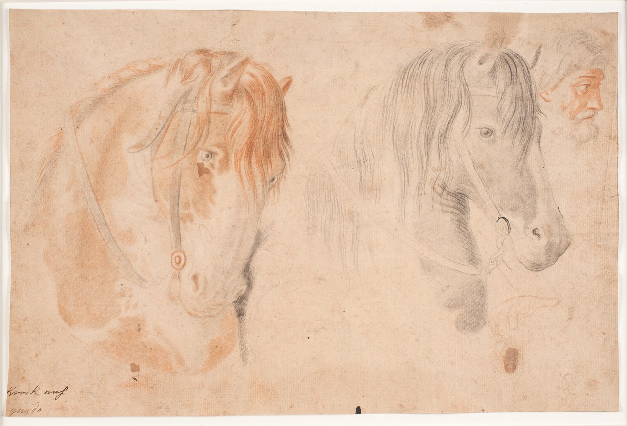 Dos cabezas de caballo y una cabeza de hombre de Hendrik Krock