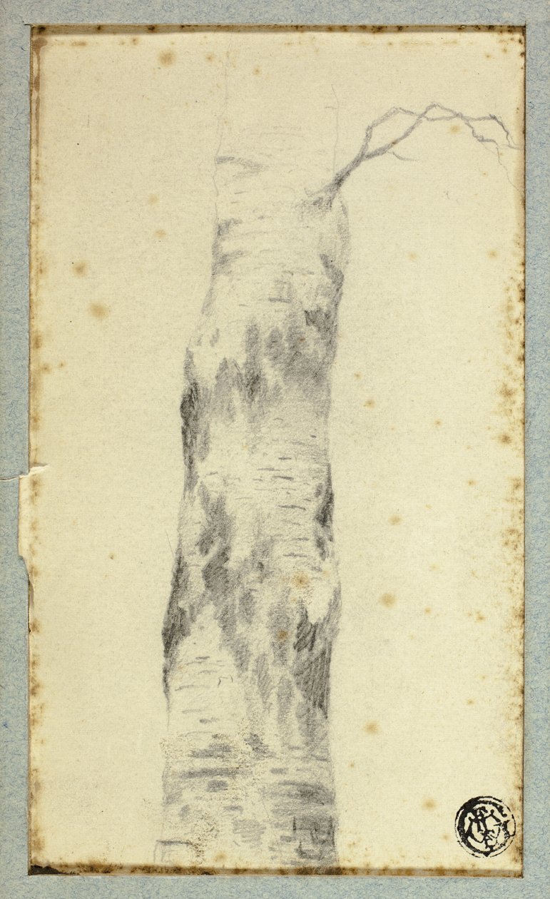 Boceto de Tronco de Árbol de Hendrik Pieter Koekkoek