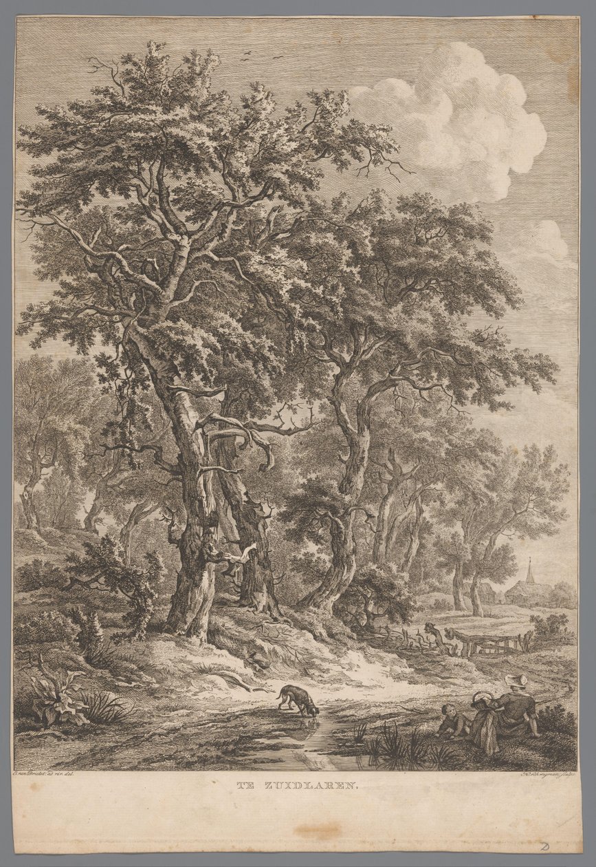 Paisaje en Zuidlaren En Zuidlaren (título sobre objeto) Nueve caras en Drenthe (título de la serie) IX Rostros en y cerca del paisaje de Drenthe (título de la serie) de Hendrik Schwegman