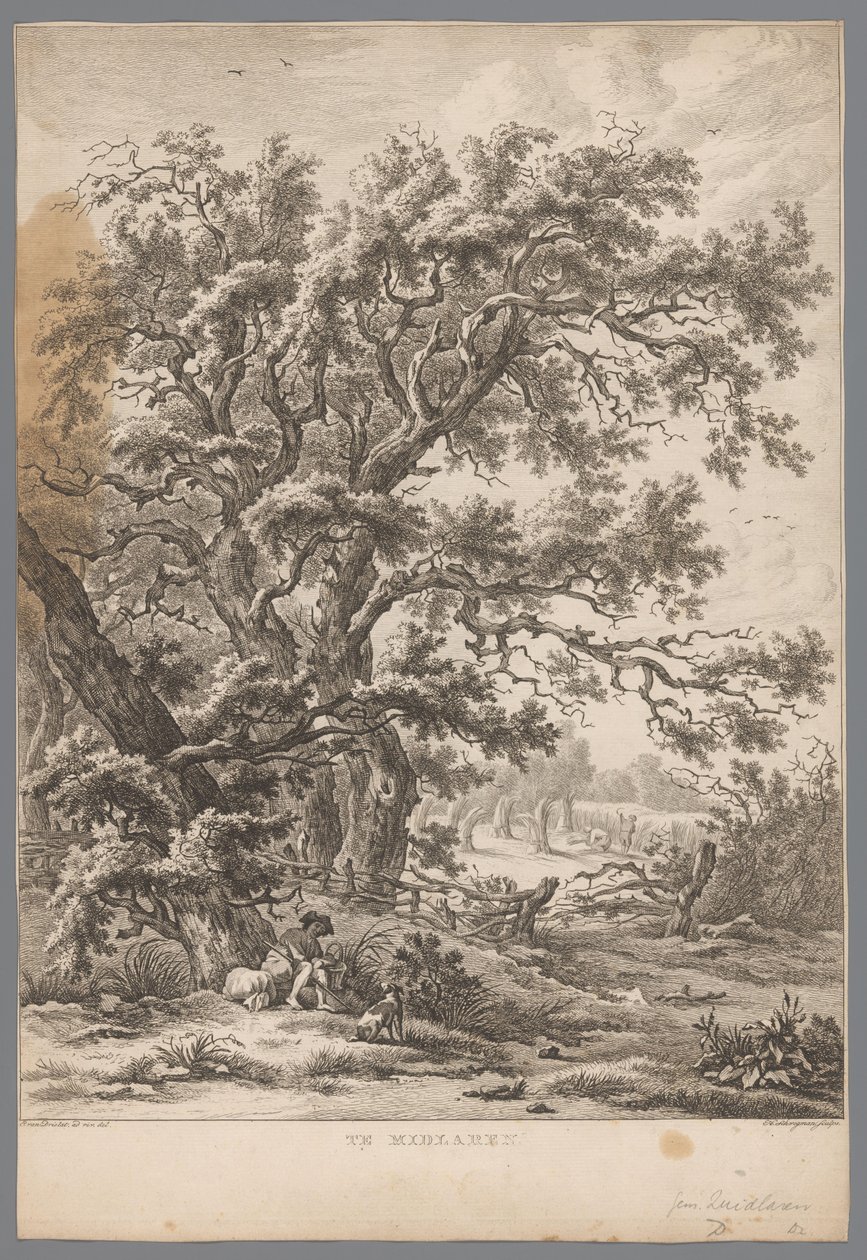 Paisaje con un hombre y un perro debajo de un árbol cerca de Midlaren En Midlaren (título sobre objeto) Nueve caras en Drenthe (título de la serie) IX Rostros en y cerca del paisaje de Drenthe (título de la serie) de Hendrik Schwegman