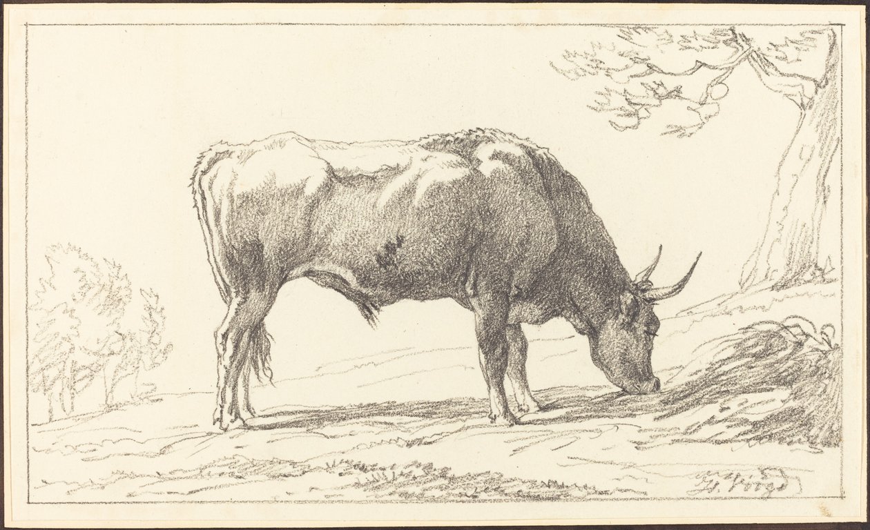 Un joven toro pastando de Hendrik Voogd