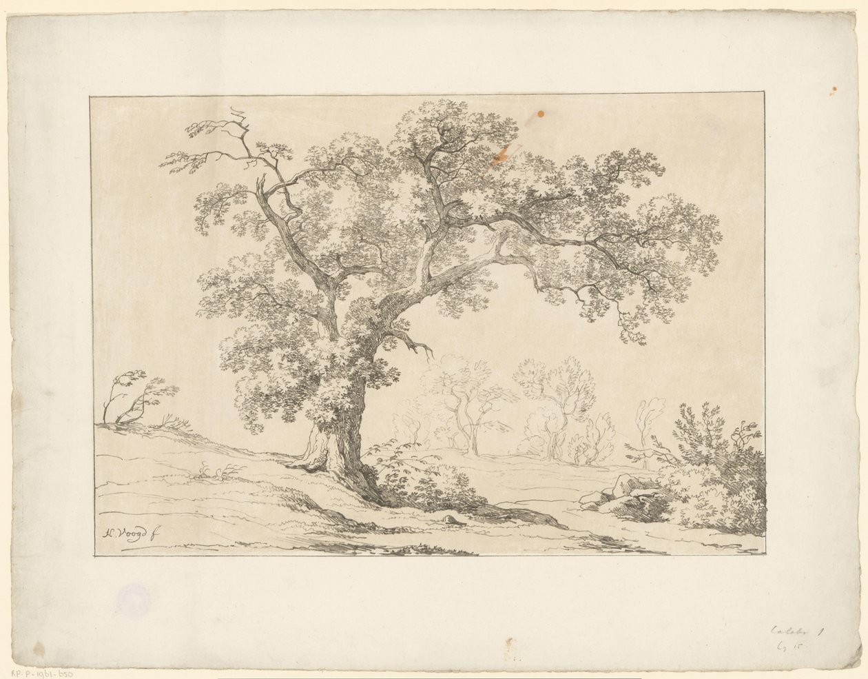 Árbol en paisaje Tentamina Lithographica (título de la serie) Paisajes italianos (título de la serie) de Hendrik Voogd