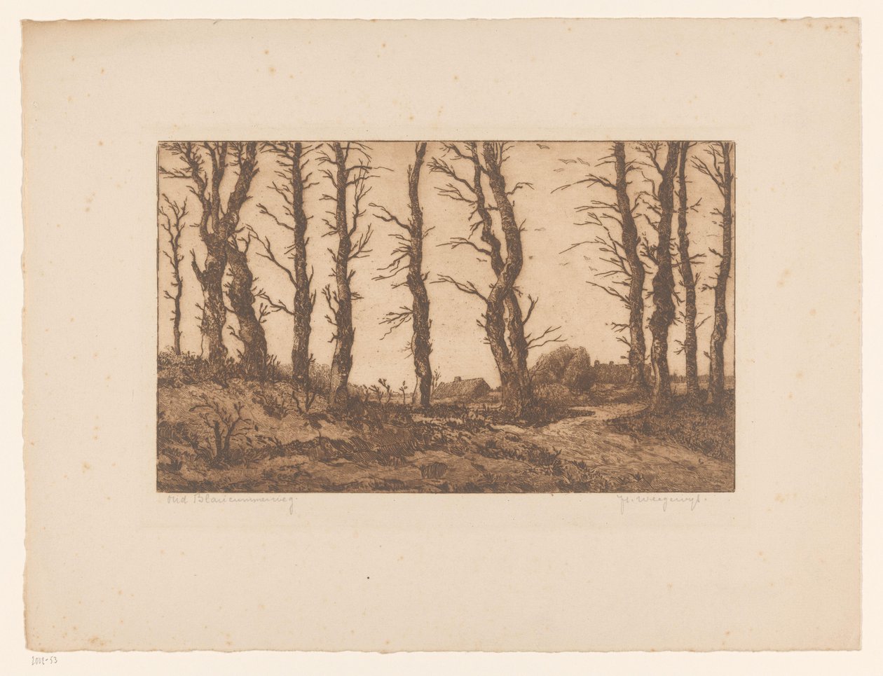 Oud Blaricummerweg (título original del objeto) de Hendrik Weegewijs (signed by artist)