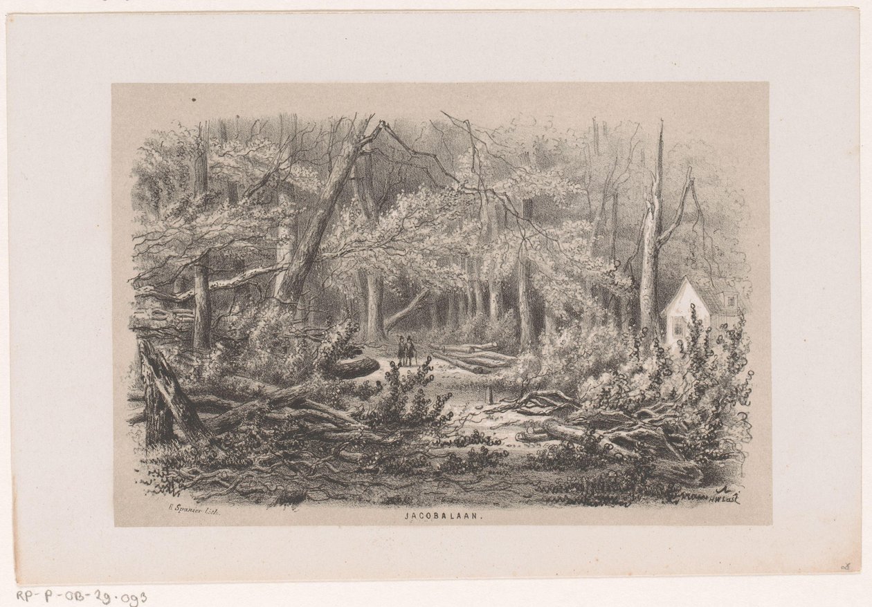 Árboles caídos en Jacobalaan, tras la tormenta del 28 de mayo de 1860
Jacobalaan (título en el objeto)
Álbum de diez bocetos litografiados que representan escenas de la destrucción causada por la tormenta del 28 de mayo de 1860 en el 