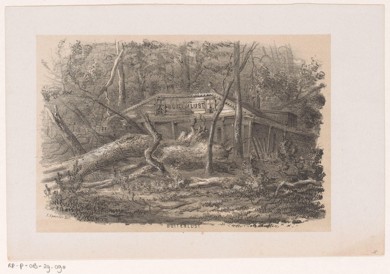 Árbol derribado en Buitenlust, tras la tormenta del 28 de mayo de 1860 Buitenlust (título sobre el objeto) Álbum de diez bocetos litografiados, que representan a Tooneelen de la destrucción, agitados por la tormenta del 28 de mayo de 1860 en el 