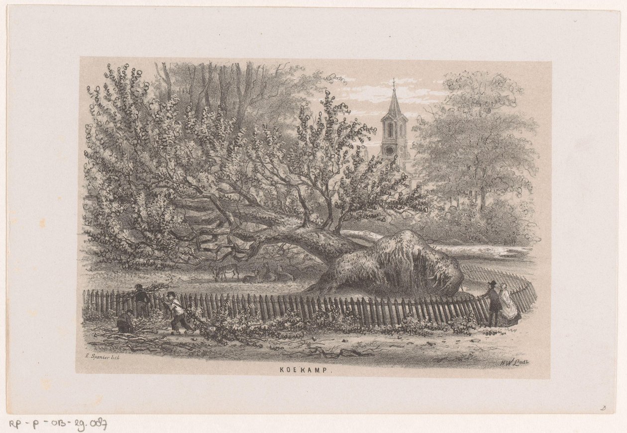 Árbol derribado en el Koekamp, ​​tras la tormenta del 28 de mayo de 1860 Koekamp (título sobre objeto) Álbum de diez bocetos litografiados, que representan a Tooneelen de la destrucción, agitados por la tormenta del 28 de mayo de 1860 en el 