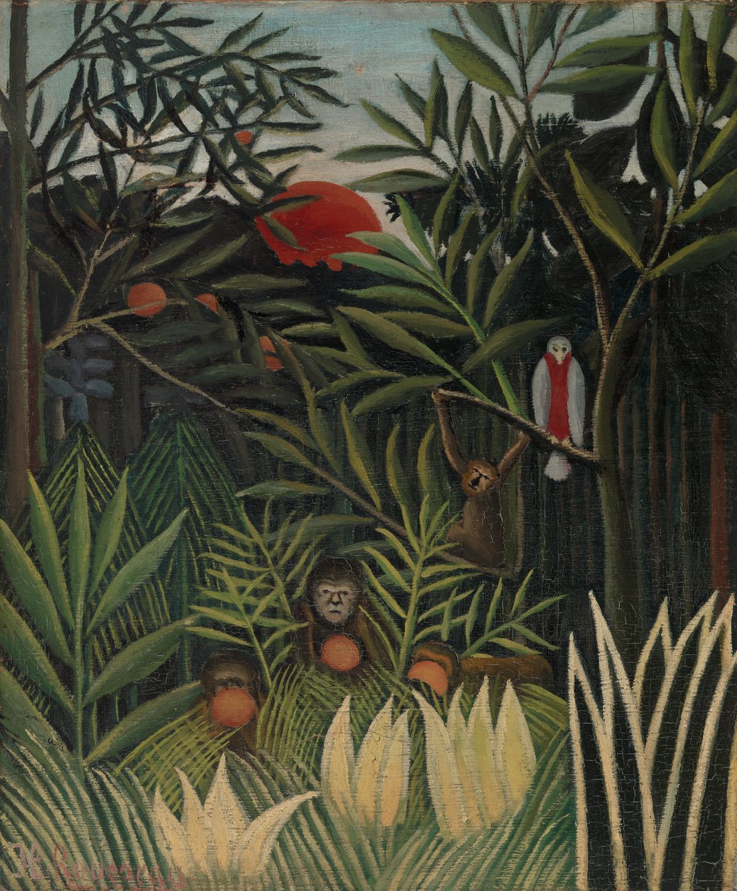 Monos y loro en la selva virgen (Singes et perroquet dans la forêt vierge) de Henri Rousseau