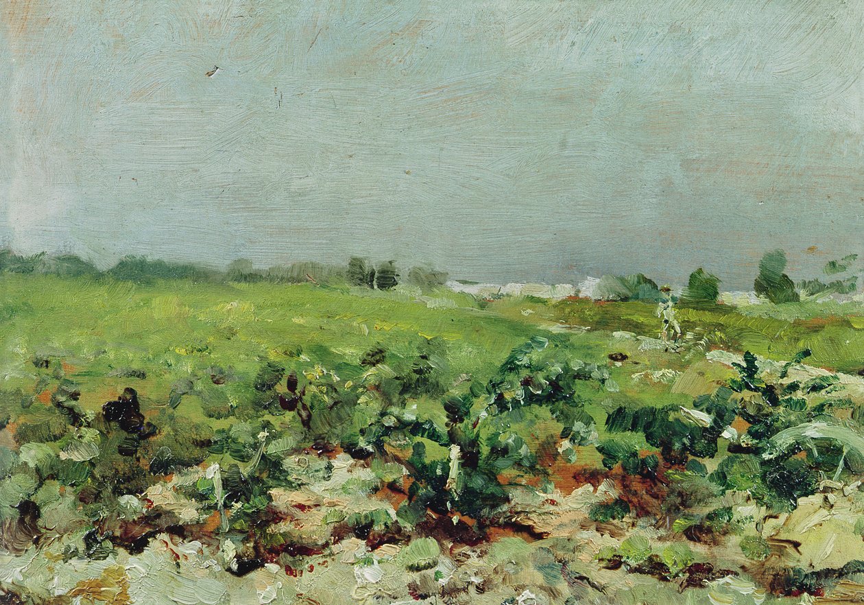 Celeyran, vista del viñedo, 1880 de Henri de Toulouse Lautrec