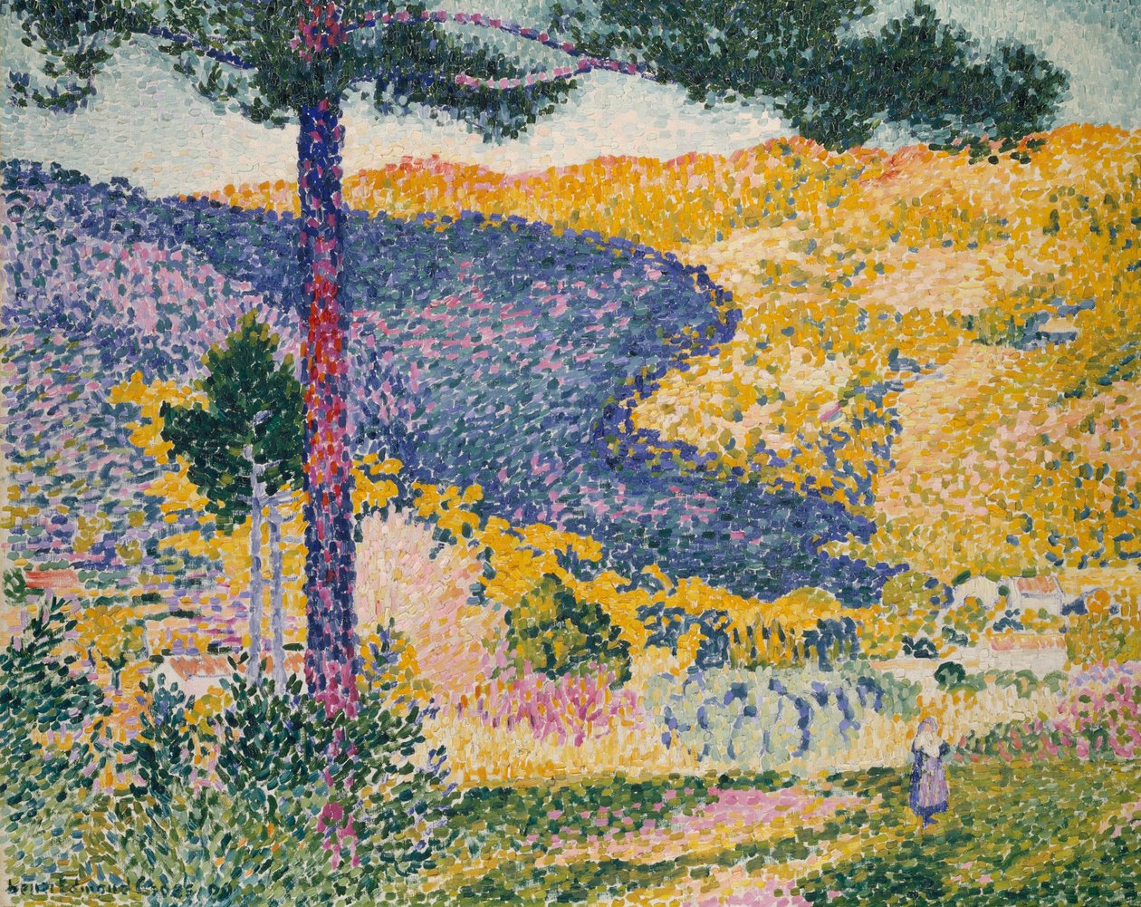 Valle con abeto (Sombra en la montaña) de Henri Edmond Cross