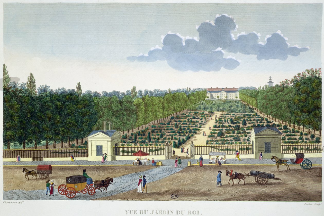 Vista del Jardin du Roi en París desde el puente de Austerlitz, grabado por Claude Fortier de Henri (after) Courvoisier Voisin