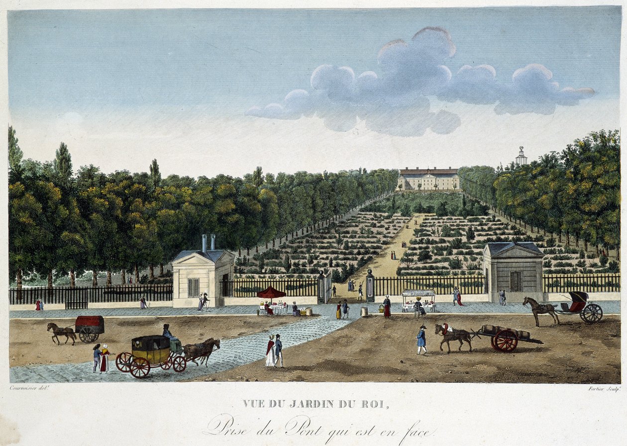 Vista del Jardín del Rey (Jardín de Plantas) tomada desde el puente opuesto - en "Vues de Paris" de Courvoisier de Henri Courvoisier Voisin