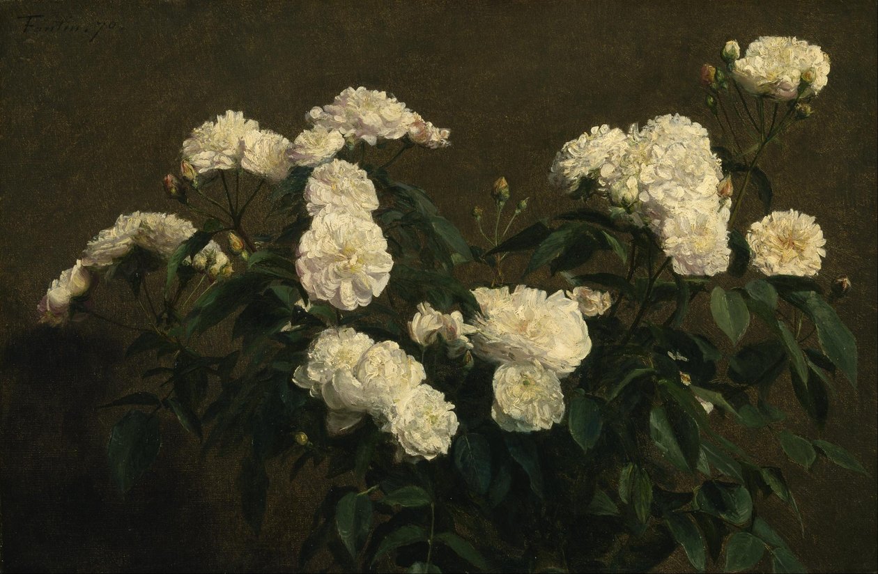Bodegón de rosas blancas de Henri Fantin Latour