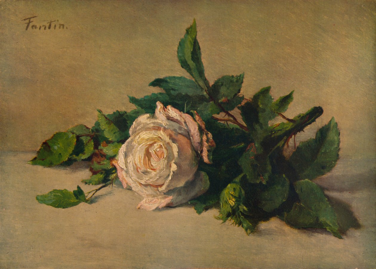 Rosa blanca, c1863, 1938 de Ignace Henri Jean Fantin Latour