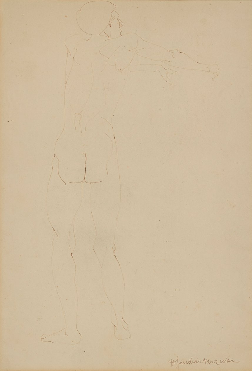 Desnudo masculino de Henri Gaudier Brzeska