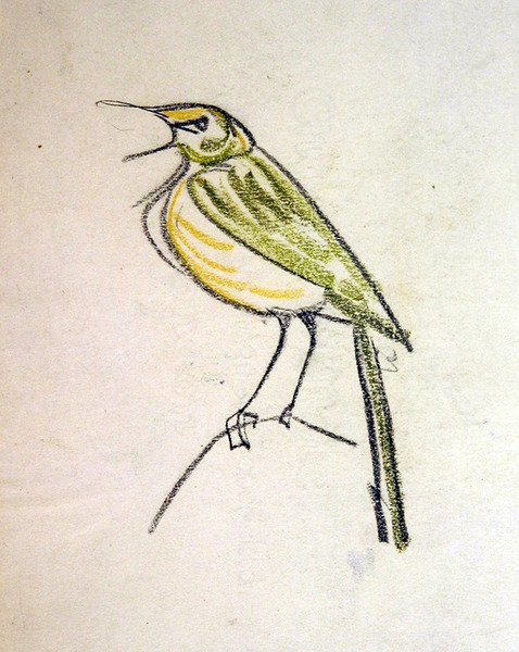 Pájaro de Henri Gaudier Brzeska