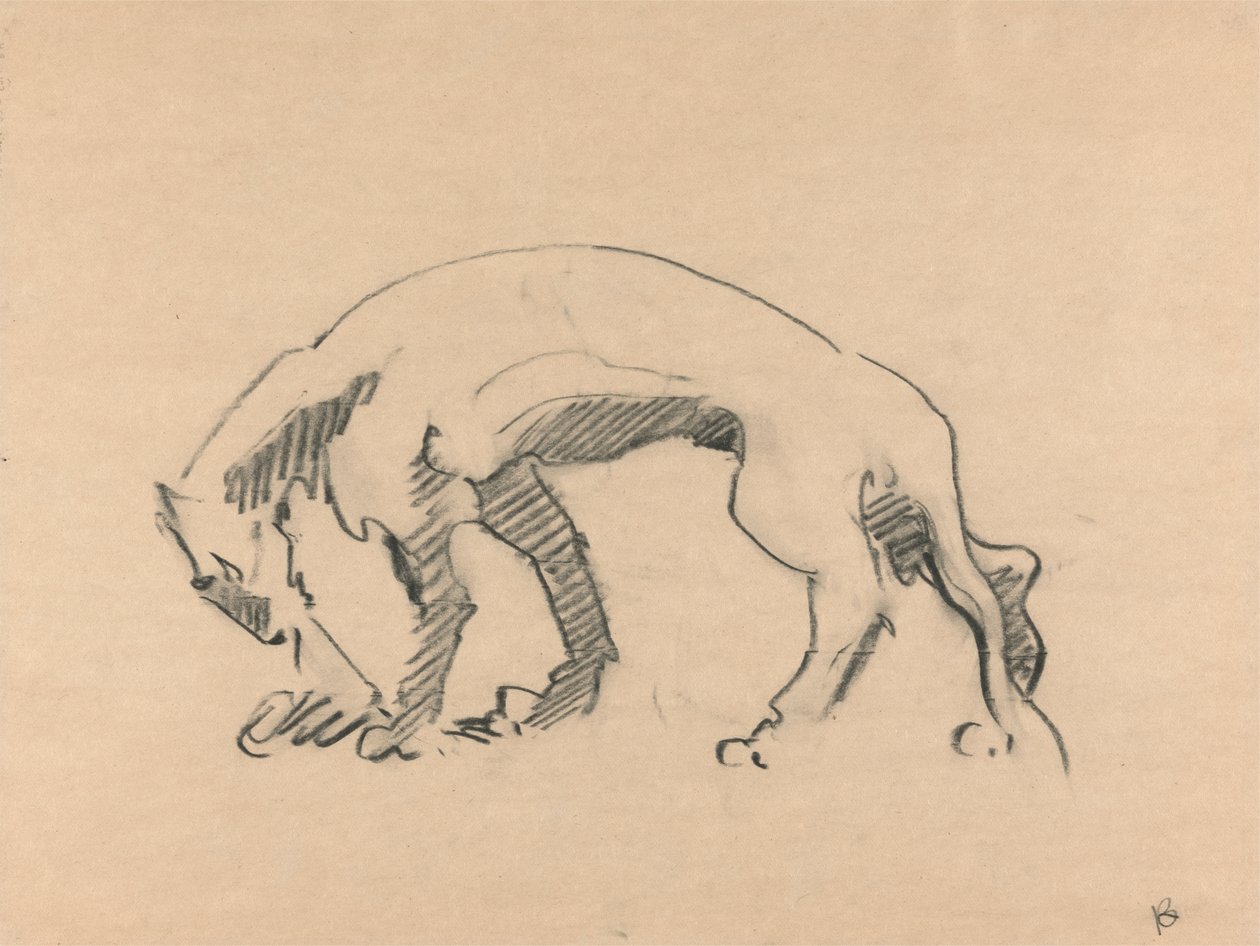 Perfil de la Leona de Henri Gaudier Brzeska