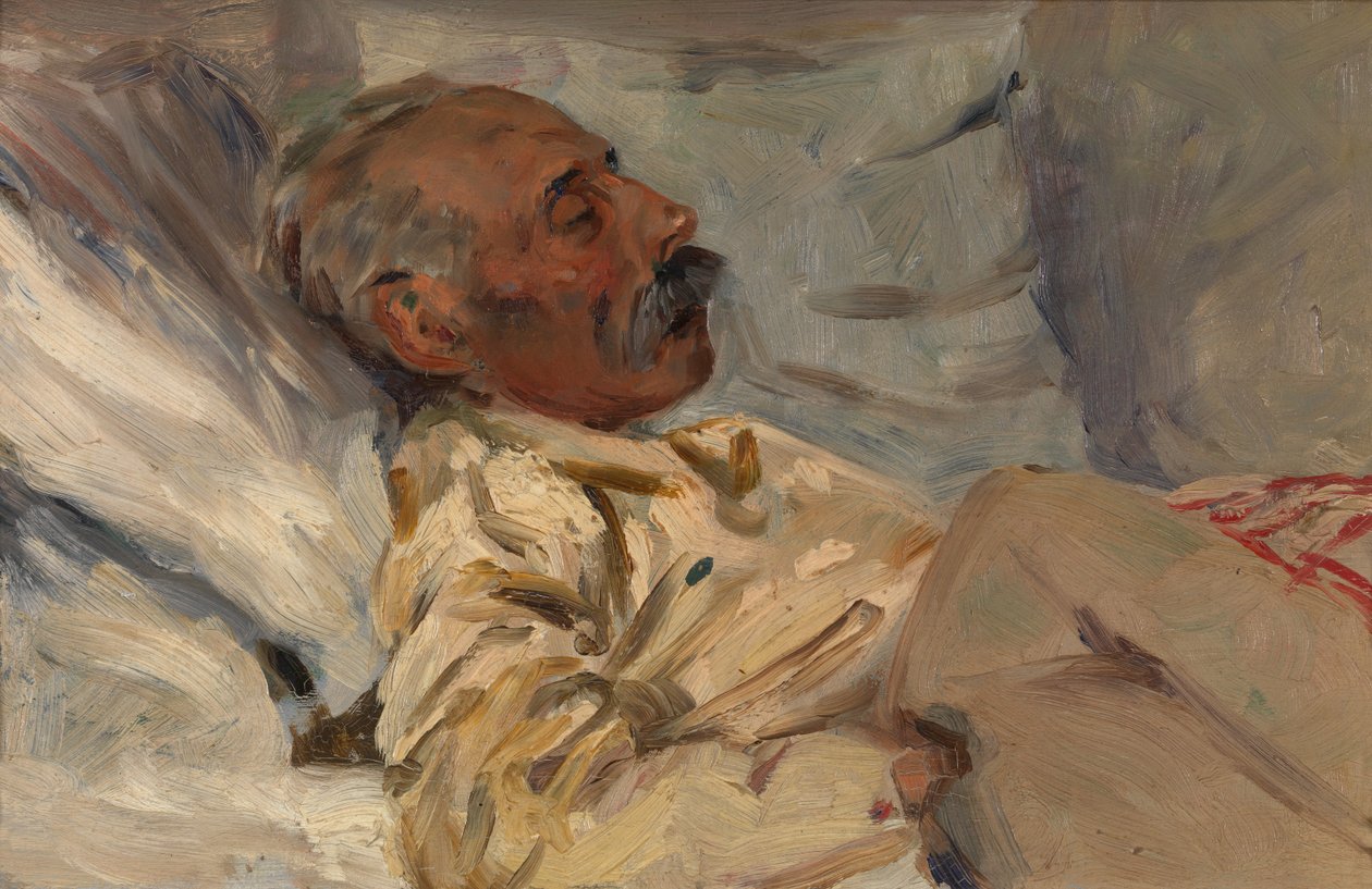 Mi abuelo enfermo de Henri Jacques Edouard Evenepoel