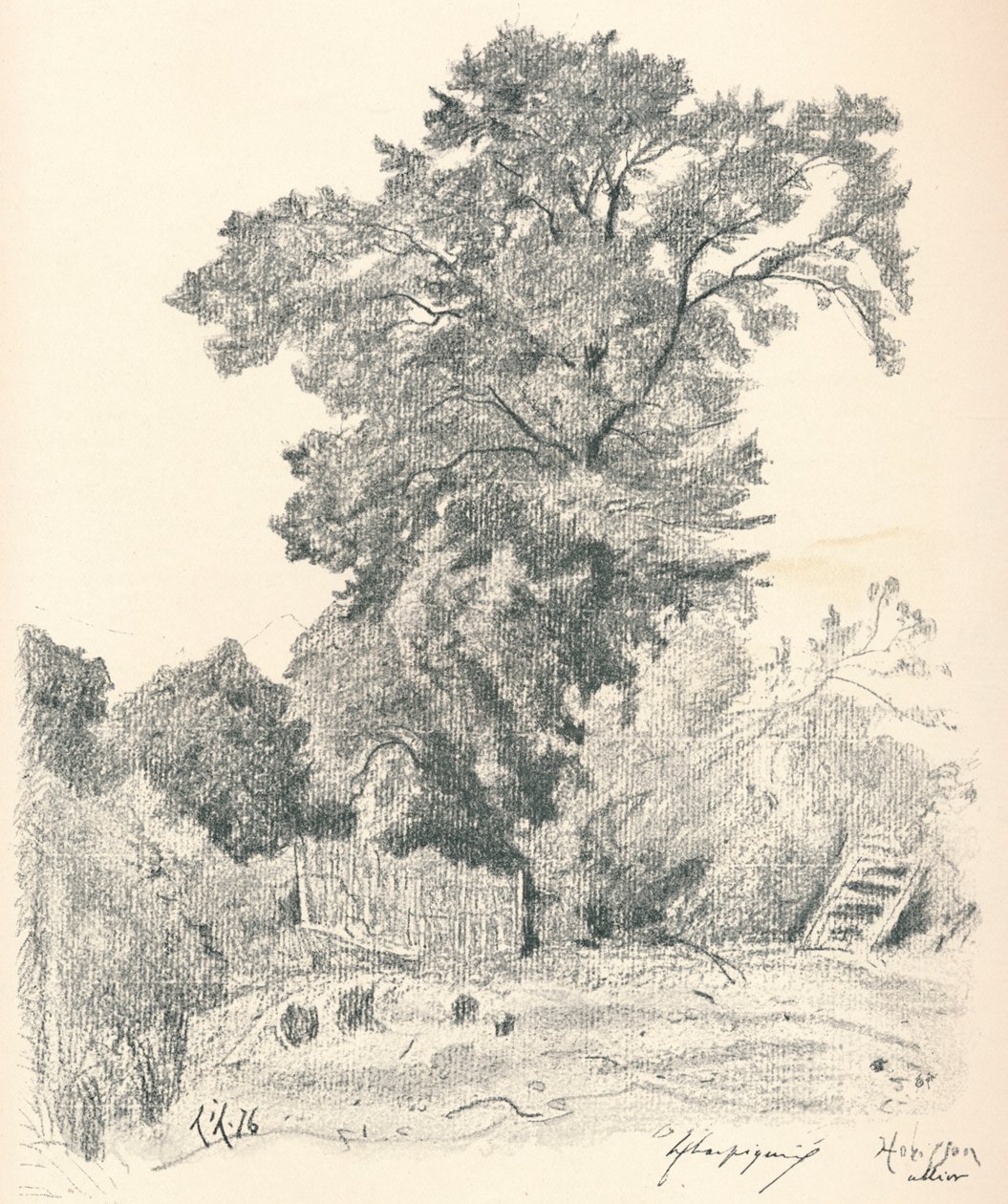 Estudio de árboles, c1839-1898, 1898 de Henri Joseph Harpignies