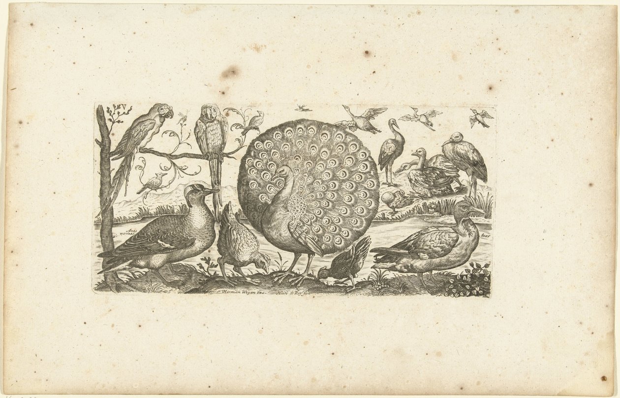 dieciocho pájaros Pájaros (título de la serie) de Henri Le Roy