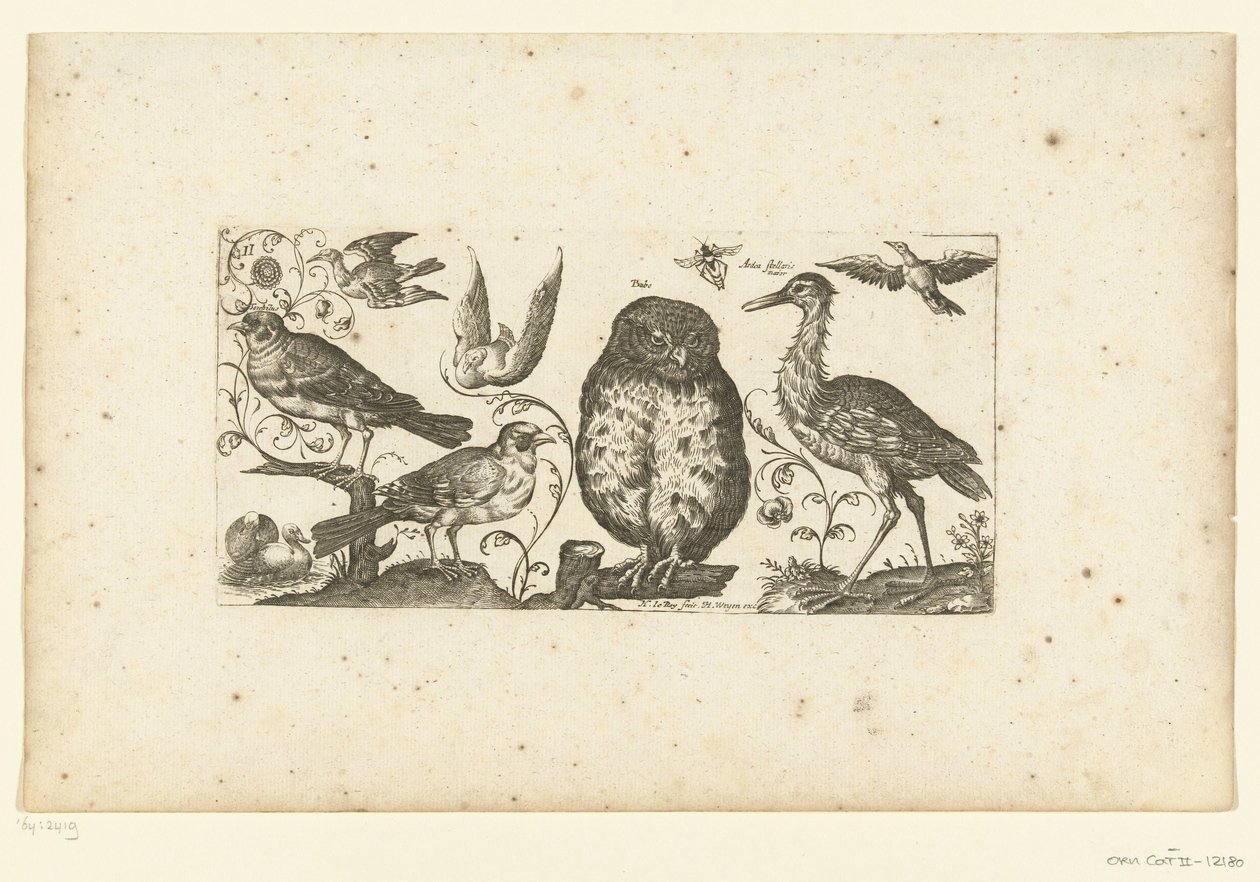 Nueve pájaros y un insecto Pájaros (título de la serie) de Henri Le Roy