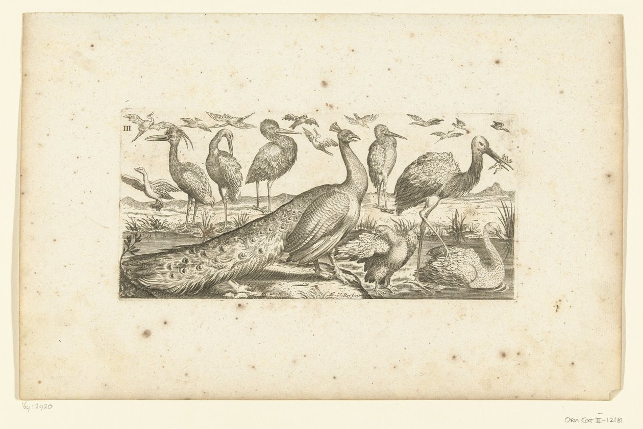 diecinueve pájaros Pájaros (título de la serie) de Henri Le Roy