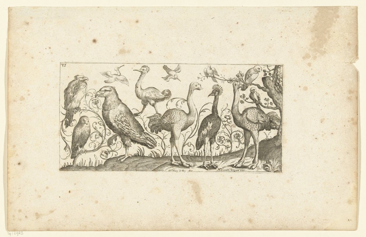 Doce pájaros Pájaros (título de la serie) de Henri Le Roy