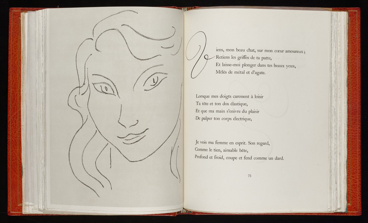 Flores del mal de Henri Matisse