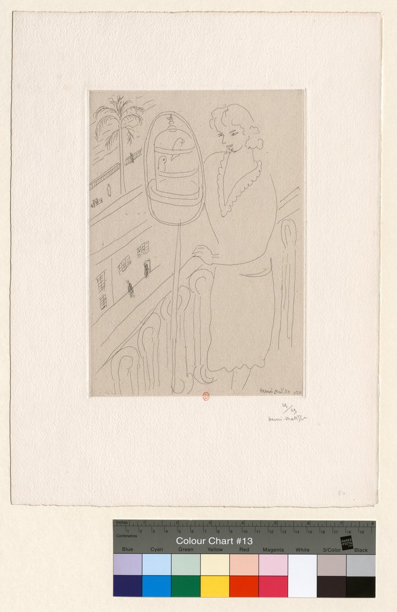 Joven en el balcón observando periquitos de Henri Matisse
