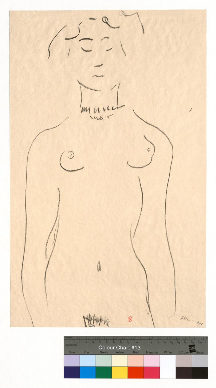 El ídolo de Henri Matisse