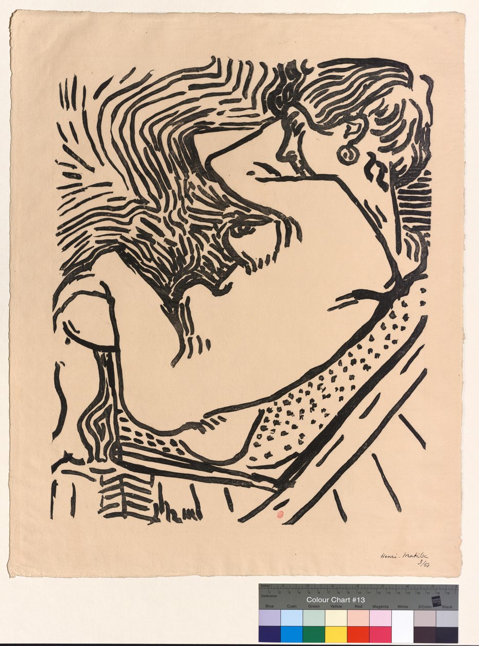 El Gran Bosque de Henri Matisse