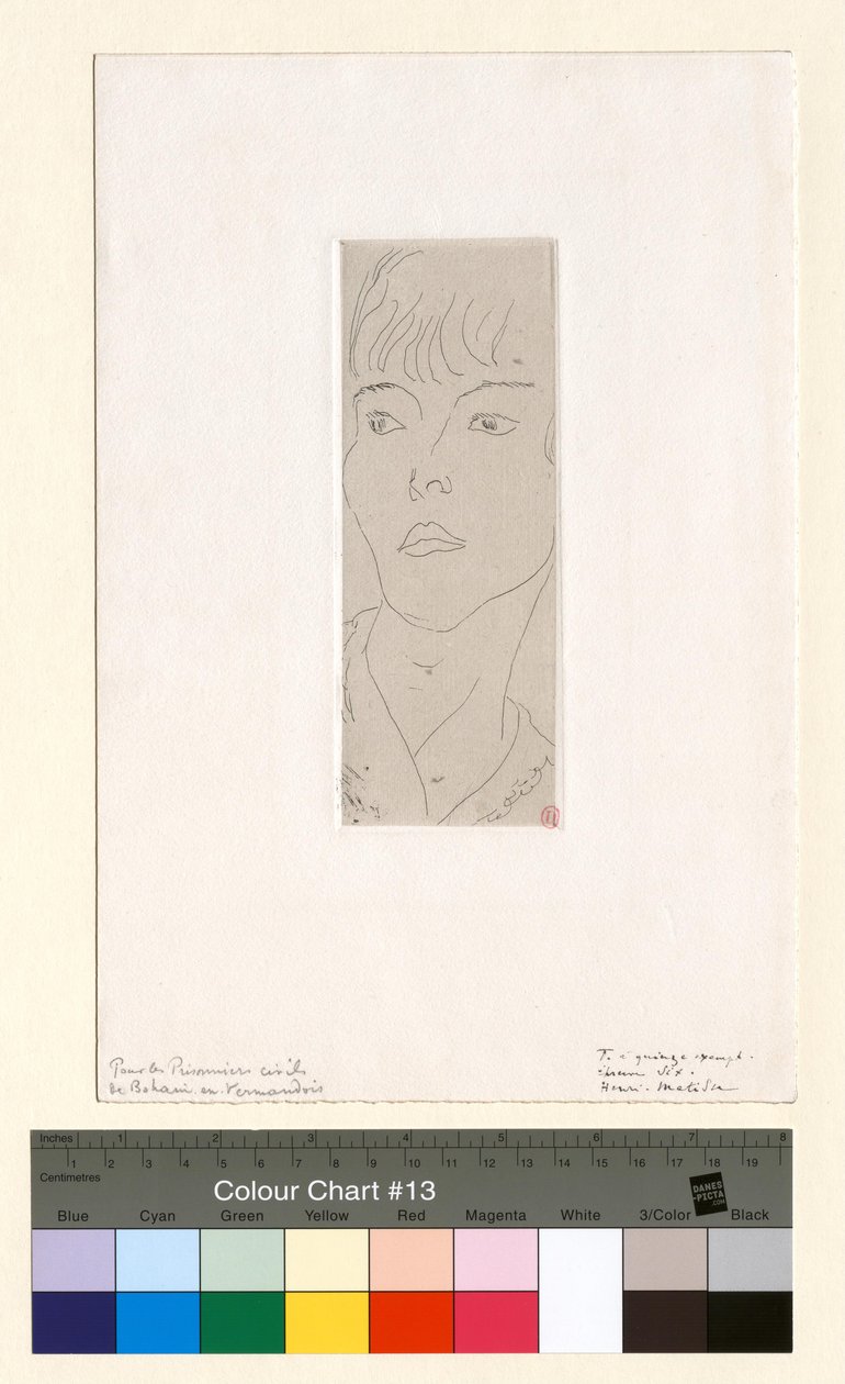 Mme D. G. Fanny de Henri Matisse