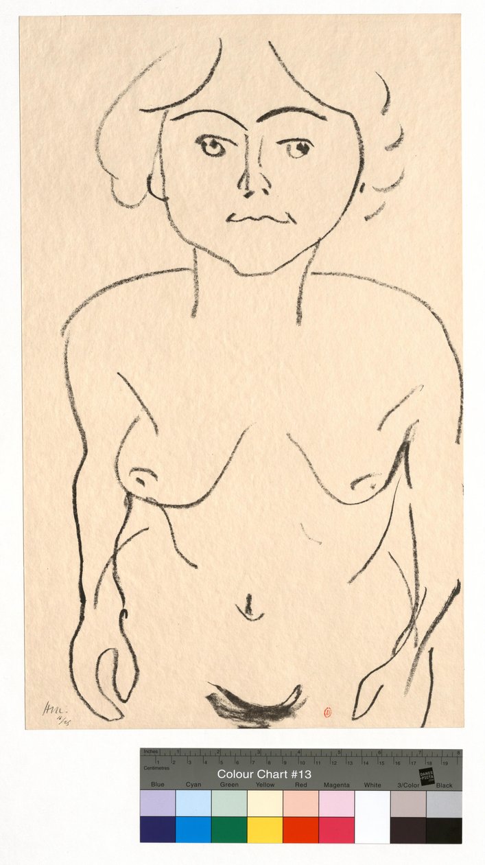 Desnudo de frente, vista desde arriba de Henri Matisse