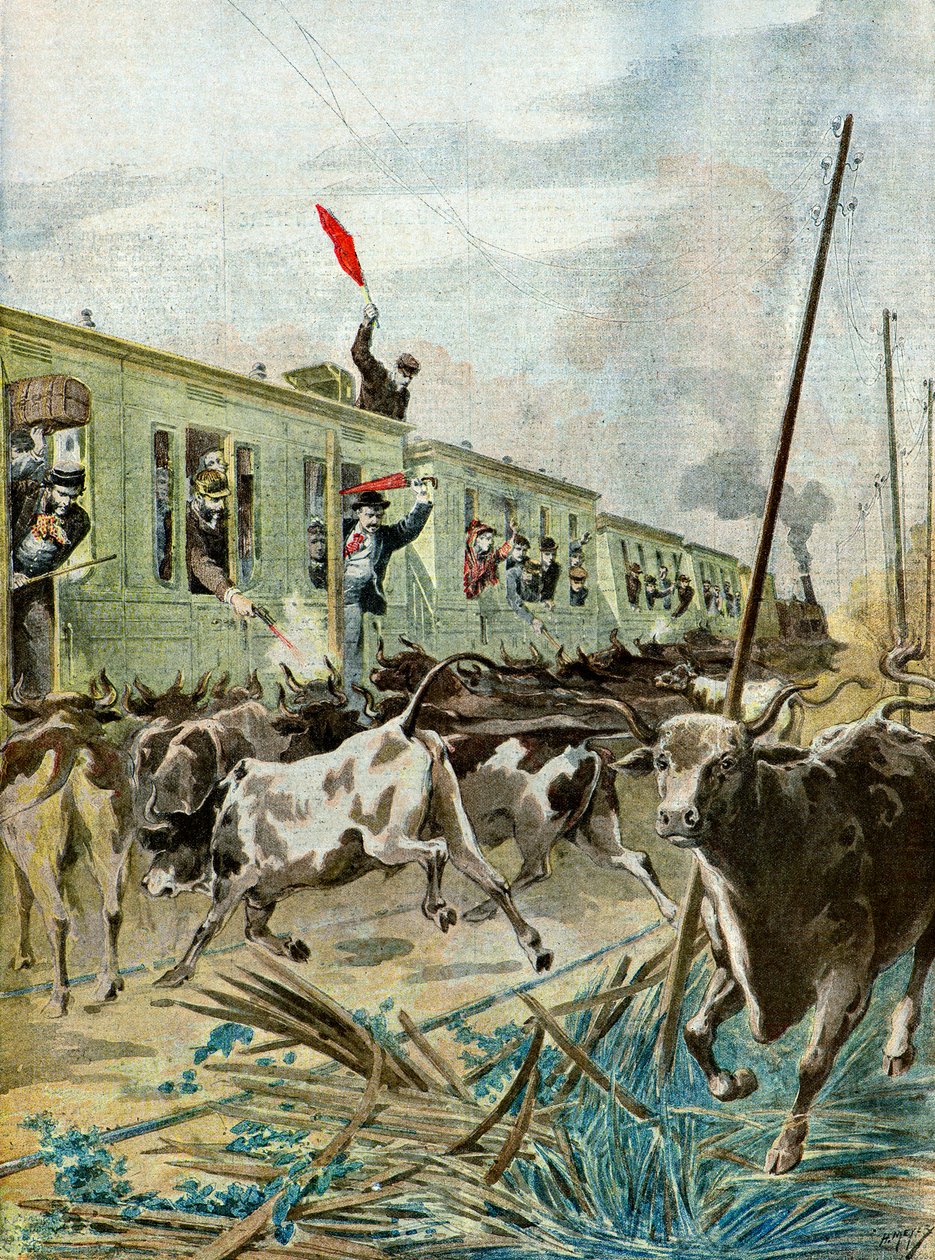 Un tren atacado por una manada de toros,1895 (Ilustración) de Henri Meyer