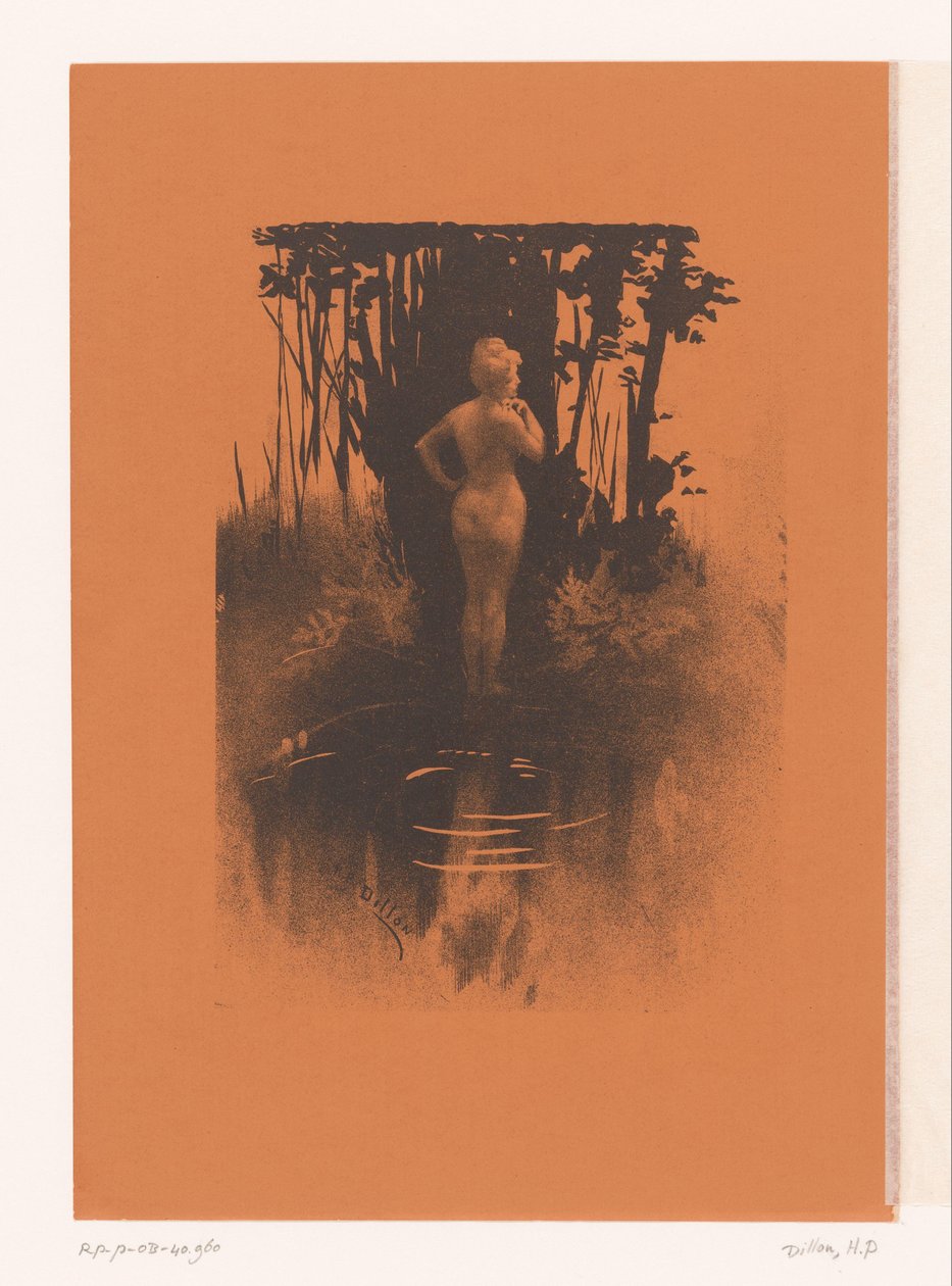 Bañista en la naturaleza de Henri Patrice Dillon