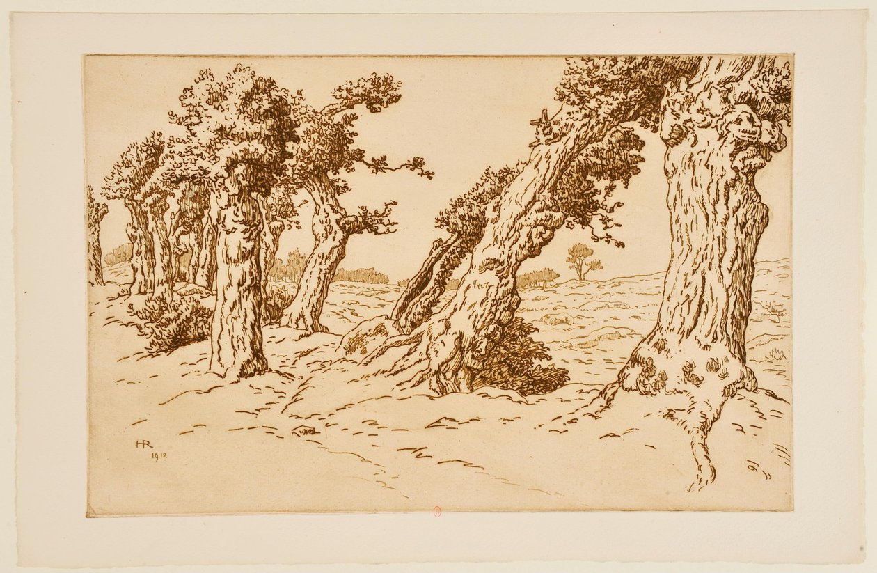 Knotige Baumstämme de Henri Rivière