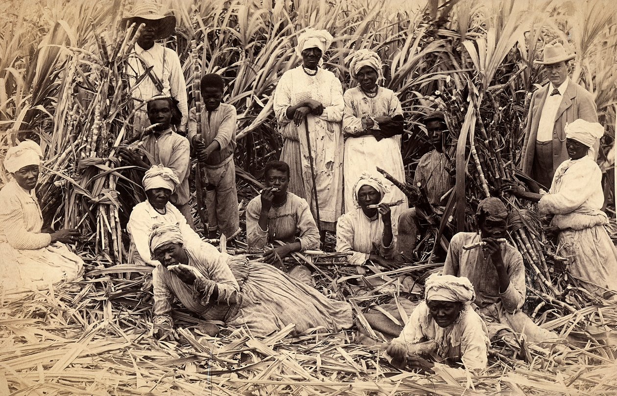 Cortadores de caña de azúcar, Jamaica de Henri S. Duperly
