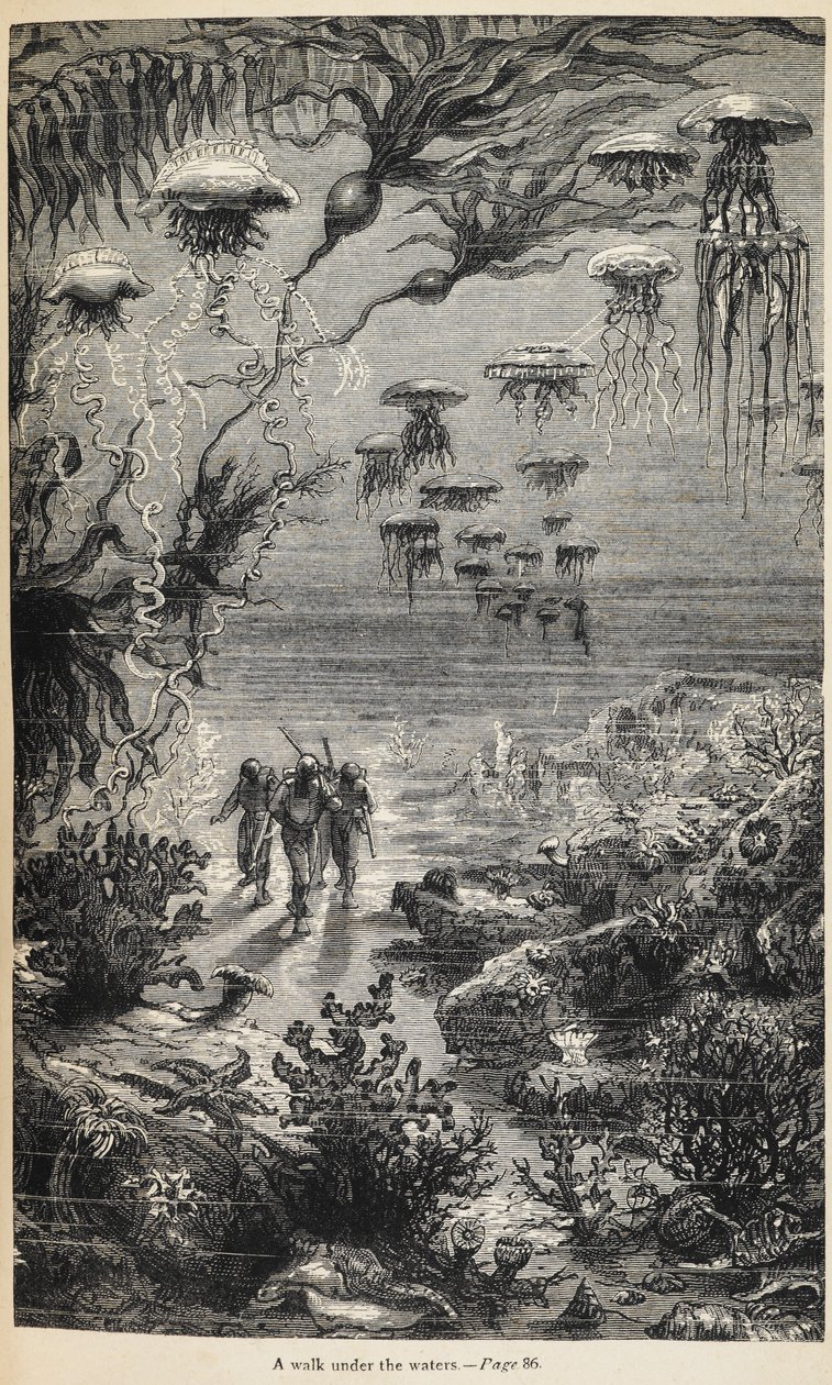 Ilustración de "20 000 leguas de viaje submarino" de Julio Verne de Henri Theophile Hildibrand