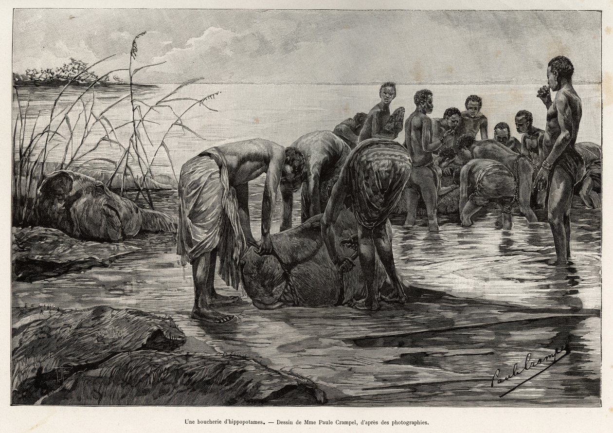 Una carnicería de hipopótamos en las orillas de un río de África Central. Grabado de Henri Thiriat para ilustrar la historia 