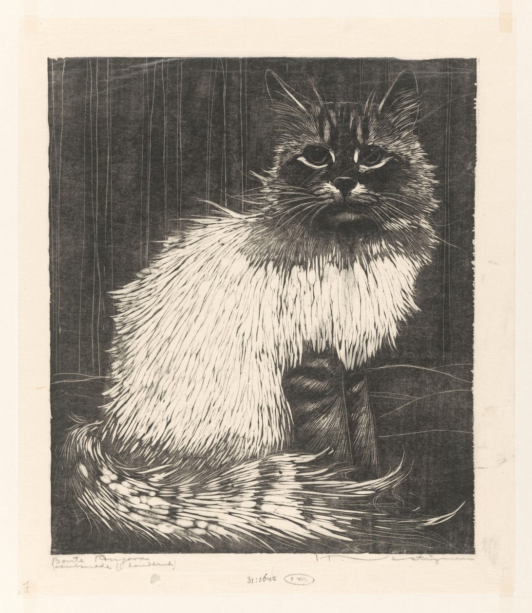 Bonte Angora (título original del objeto) de Henri Verstijnen (signed by artist)
