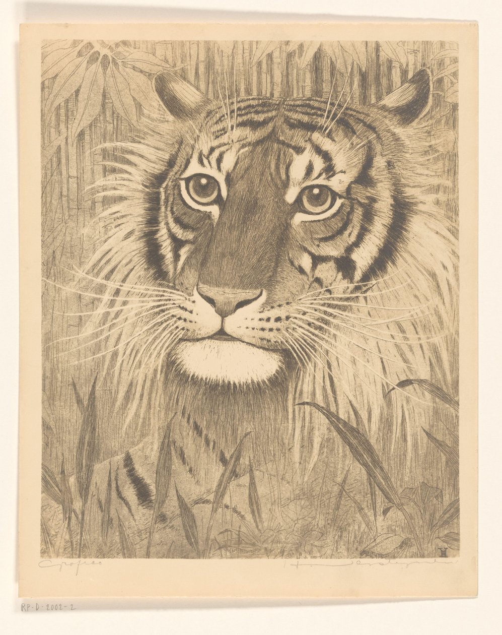 cabeza de un tigre de Henri Verstijnen (signed by artist)