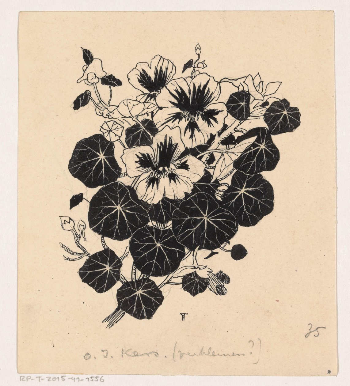 capuchina de Henri Verstijnen (signed by artist)
