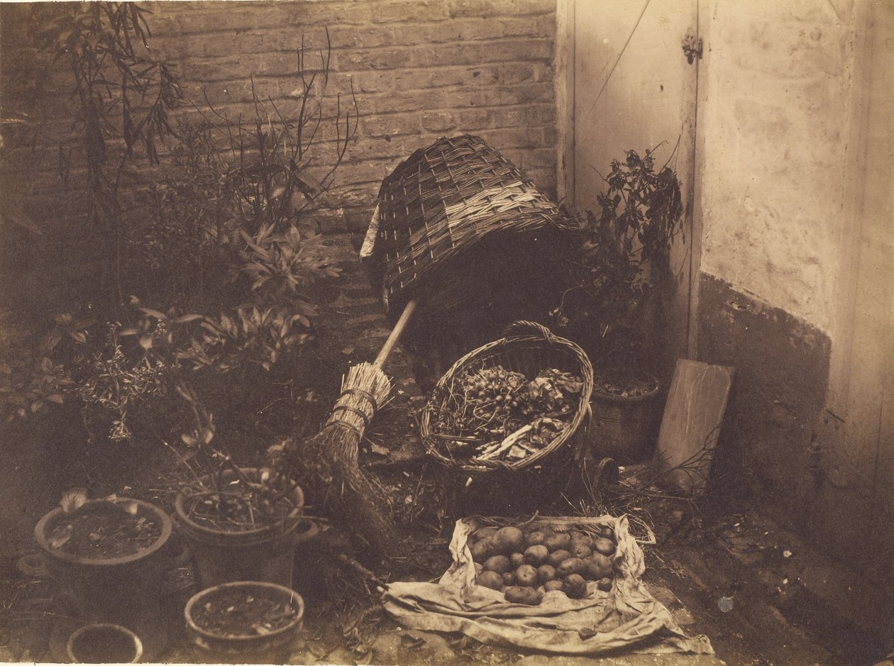 [Bodegón con cestas de paja, escoba, saco de patatas abierto y plantas en maceta]. de Henri Victor Regnault