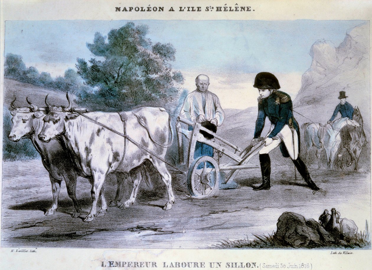 Napoleón I (1769-1821) en Santa Elena: el emperador ara un surco (30/06/1816) de Henri Villain